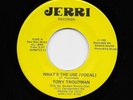 Tony Troutman - What's The Use / (inst.) (Soul, 45) 102