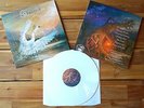Skyforest - Unity LP white vinyl, ltd. 414 NEW