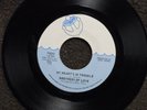 northern soul BROTHERS OF LOVE My Heart's In Trouble INTREPID 75032 M-
