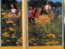 Made in Germany-same German prog psych reissue lp sealed on Long Hair