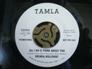 BRENDA HOLLOWAY  ALL I DO IS THINK ABOUT YOU    Northern Soul / Motown