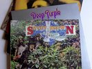 5 LPs Progressive / Rock  Led Zeppelin; Savoy Brown; Deep Purple u.a.