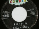 The Beach Boys 