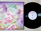 DISQUE VINYLE 33t JIMI HENDRIX Live in Stockholm C 10 168 Fruit-End
