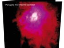 Porcupine Tree UP THE DOWNSTAIR / STAIRCASE INFINITIES 2 lp 180g Steven Wilson