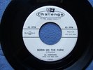 AL DOWNING..Down On The Farm / Oh Babe..NS Rockabilly Black Rocker DJ promo 45