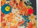 SEALED 1966 FUNK SOUL LP / The Chambers Brothers / NOW / Vault LP 115