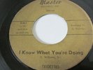 TRIDETTES RARE DETROIT NORTHERN SOUL 45 on MASTER I Know What You're Doing