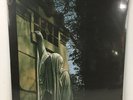 Dead Can Dance - Within The Realm Of A Dying Sun LP Record - BRAND NEW