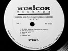 WHITE PROMO 1969 HIPPIE PSYCH = REBECCA & THE SUNNYBROOK FARMERS = LAUREN WOOD