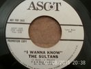 Northern Soul - The Sultans - I Wanna Know - W/Demo - US