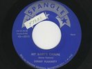 Ohio Rockabilly/Teen SONNY FLAHARTY My Baby's Casual/Our Love Is Real HEAR BOTH
