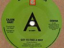Cajun Hart Got To Find A Way Expansion DEMO Limited 100 Numbered on Flipside Sou