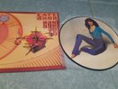 picture disc Kate Bush the Kick Inside  '78  rare emcp3223 WOW