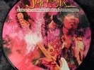 Jimi Hendrix - The L.A. Forum Concert Vol. 1  - Picture Disc - 2009 - Vinyl - LP