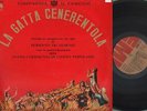 NCCP - La gatta cenerentola