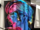 Dido - Still On My Mind -  Ltd Coloured Vinyl + Signed Print + CD (all sealed)
