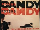 Jesus And Mary Chain Lp Psycho Candy 1st Press Mint Vinyl Record Album