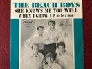 The Beach Boys ?– 