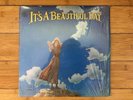 It's A Beautiful Day - S/T 1969 San Francisco Sound ?SFS 11790 RE Vinyl NM/NM-