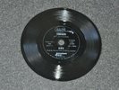 RARE VINTAGE 4” FLEXI POCKET DISC “CINNAMON” “THIS IS MY STORY” DEREK Americom