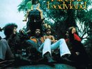 Jimi Hendrix - Electric Ladyland 6LP Box Set [Vinyl New] 50th Anniversary Set