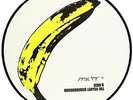 Andy Warhol (Pic Disc) - VELVET UNDERGROUND & NICO [LP]