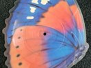 Barclay James Harvest Just A Day Away UK shaped picture disc vinyl record