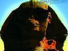 Kiss - Hot In The Shade (Ltd.Back To Black) LP (2014) original verpackt - Neu
