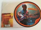 The Flaming Lips / The W.A.N.D. & Hold On / Picture Disc 45 / Mint