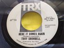 1967 R&R Rocker Soul 45 : Troy Shondell   A Rose And A Baby Ruth   TRX 5001Promo