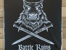 Battle Ruins Glorious Dead Vinyl LP Oi Boston Punk Templars Have Heart Strangler