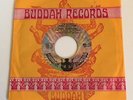 Lou Christie / I'm Gonna Make You Mine / 45 & Buddah sleeve / Mint Stock Copy