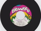 PAPI BRANDAO - FRANCIA 1a / LOS MAESTROS Panama CUMBIA Private 45 Rare LISTEN