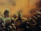 Steely Dan - Katy Lied, LP, Album, RE, (Vinyl)