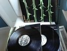 TYPE O NEGATIVE re-Issue Vinyl 2LP October Rust (2006 Germany)