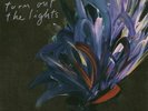 BAKER, Julien - Turn Out The Lights - Vinyl (limited clear vinyl LP) NEW Album