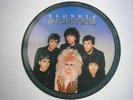 BLONDIE The Hunter picture disc UK LP 1982 ex+