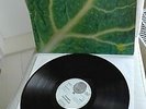 CATAPILLA original Vinyl LP Changes (1972 Vertigo Records Germany)