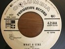 Rockabilly Bop 45 Carl Story - What A Line HEAR BOTH  Columbia