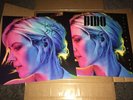 DIDO STILL ON MY MIND BLUE VINYL  LP + HAND SIGNED ART PRINT *EXCLUSIVE* SEALED