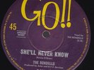The RONDELLS She'll Never Know / I'll Be Gone 45 - GO    SirH70