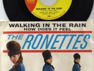 the RONETTES 