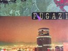 FUGAZI End Hits DISCHORD 1998 grey vinyl LP & insert DIS110V original 
