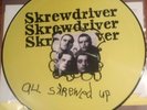 RARE LP  UK Oi  Punk  ISD Rebelles  28  ROR skin All skrewed up