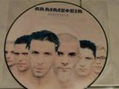 Rammstein Herzeleid Picture Vinyl