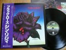 THIN LIZZY - BLACK ROSE - 1979 1st JAPAN 12