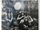 Blue Cheer - The Original Human Being - LP