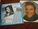 ELVIS PRESLEY  Poor Boy PICTURE DISC LP DENMARK 1984 MINT in EXCLUSIVE sleeve