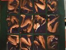 2 LP 33  Catherine Wheel ?– Adam And Eve Numbered UK 1997  Chrysalis ?